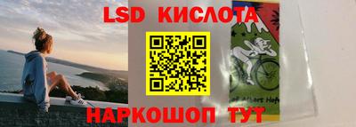 PSILOCYBIN Северобайкальск