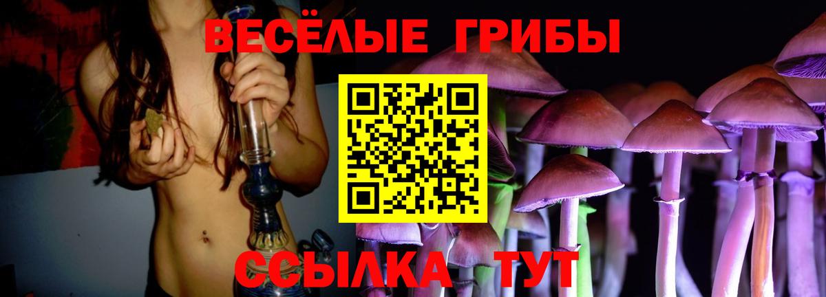 Артёмовский  Псилоцибиновые грибы GOLDEN TEACHER  Галлюциногенные грибы MAGIC MUSHROOMS  Вход с VPN 